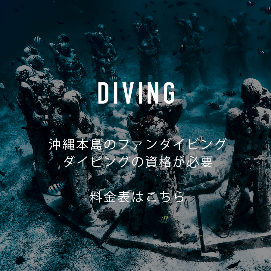 沖縄本島でダイビングや体験ダイビング、サイドマウントダイビングについてはこちら
